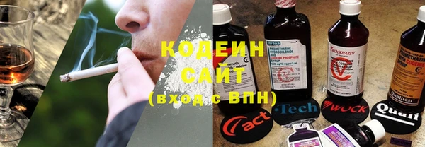 стаф Кулебаки
